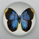 Paper Weight