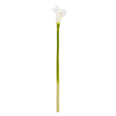FL227 Calla Lily 27" Long