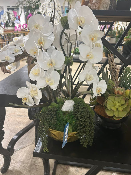 Orchid with Gold Vase