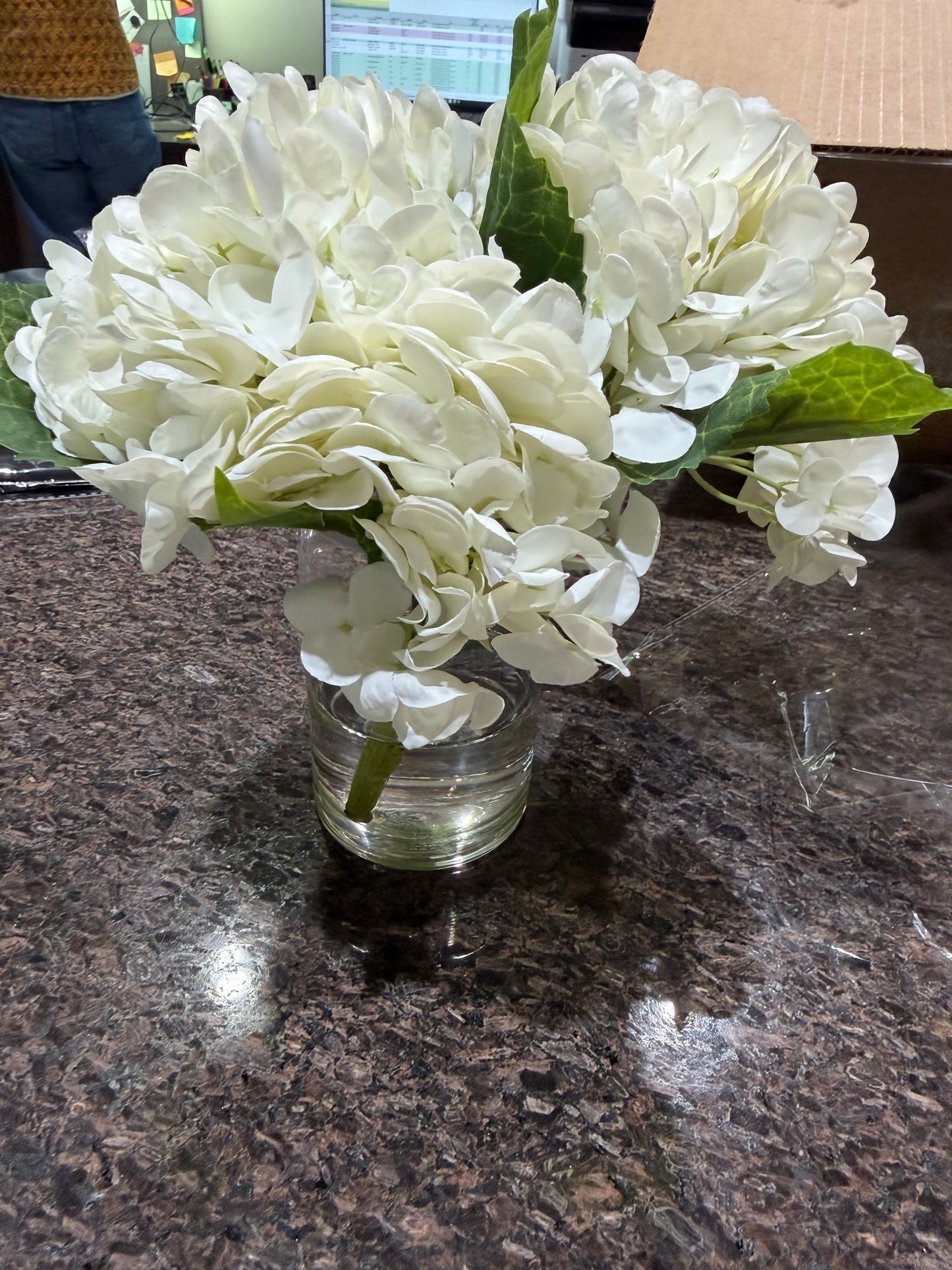 Hydrangea in Vase