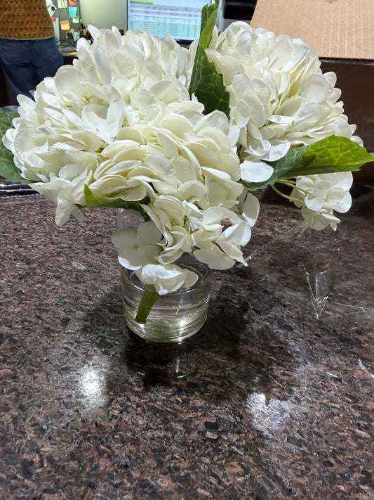 Hydrangea in Vase