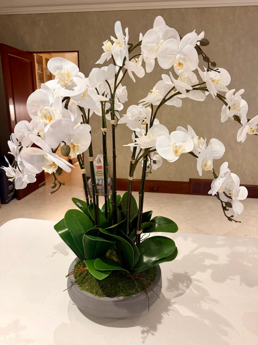 Gray Bowl w/Orchids