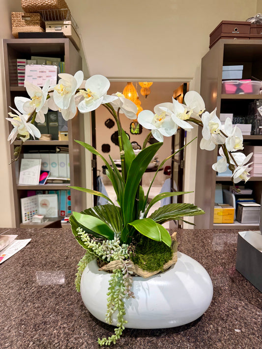 White Ceramic Pot w/Orchid/Fan Palm