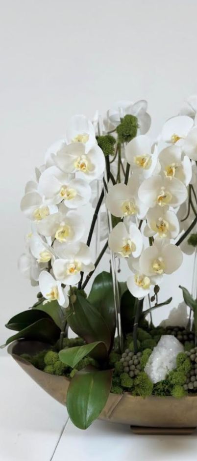 Orchid with Gold Vase