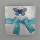 Blue Butterfly with blue ribbon