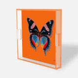 Large Square Acrylic Tray